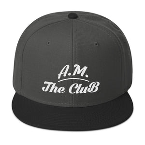 A.M Barkcley Snapback (more colors avail)