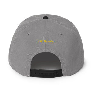 A.M. Barkcley Snapback(logo) (more  colors avail)