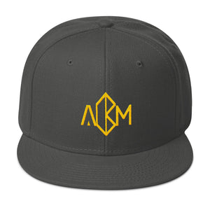 A.M. Barkcley Snapback(logo) (more  colors avail)