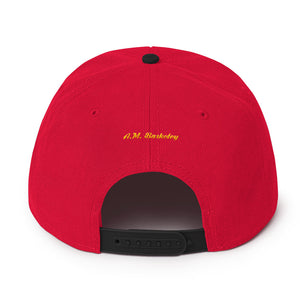 A.M. Barkcley Snapback(logo) (more  colors avail)