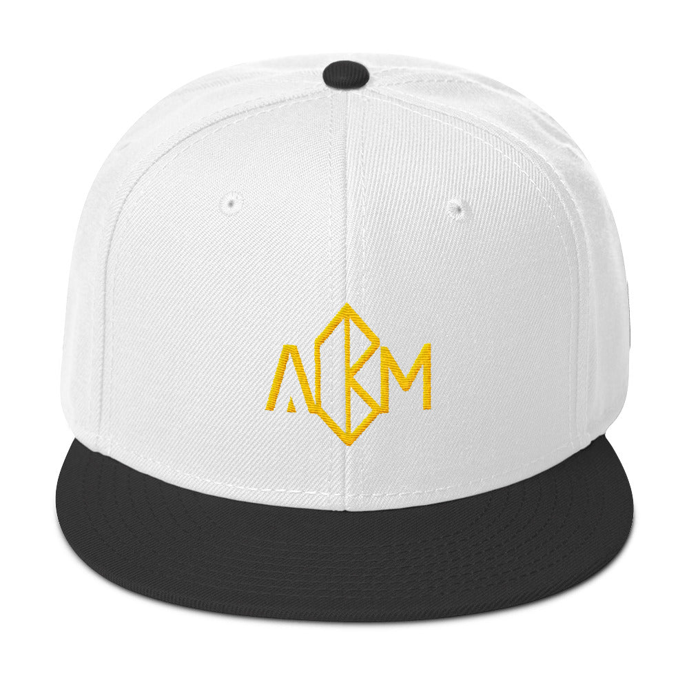 A.M. Barkcley Snapback(logo) (more  colors avail)