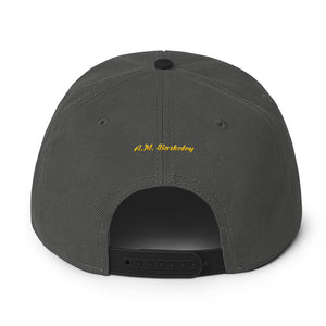 A.M. Barkcley Snapback(logo) (more  colors avail)